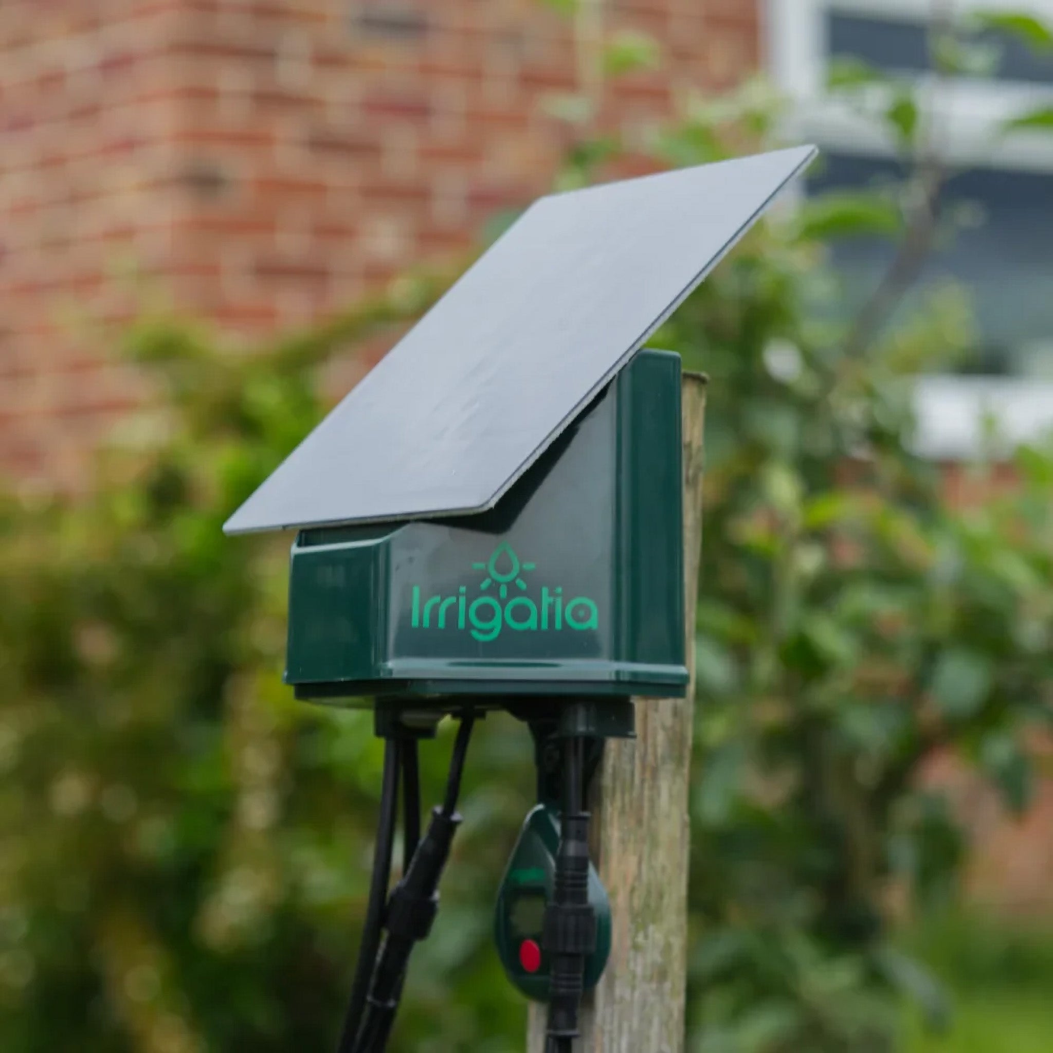 Automatic Watering Systems