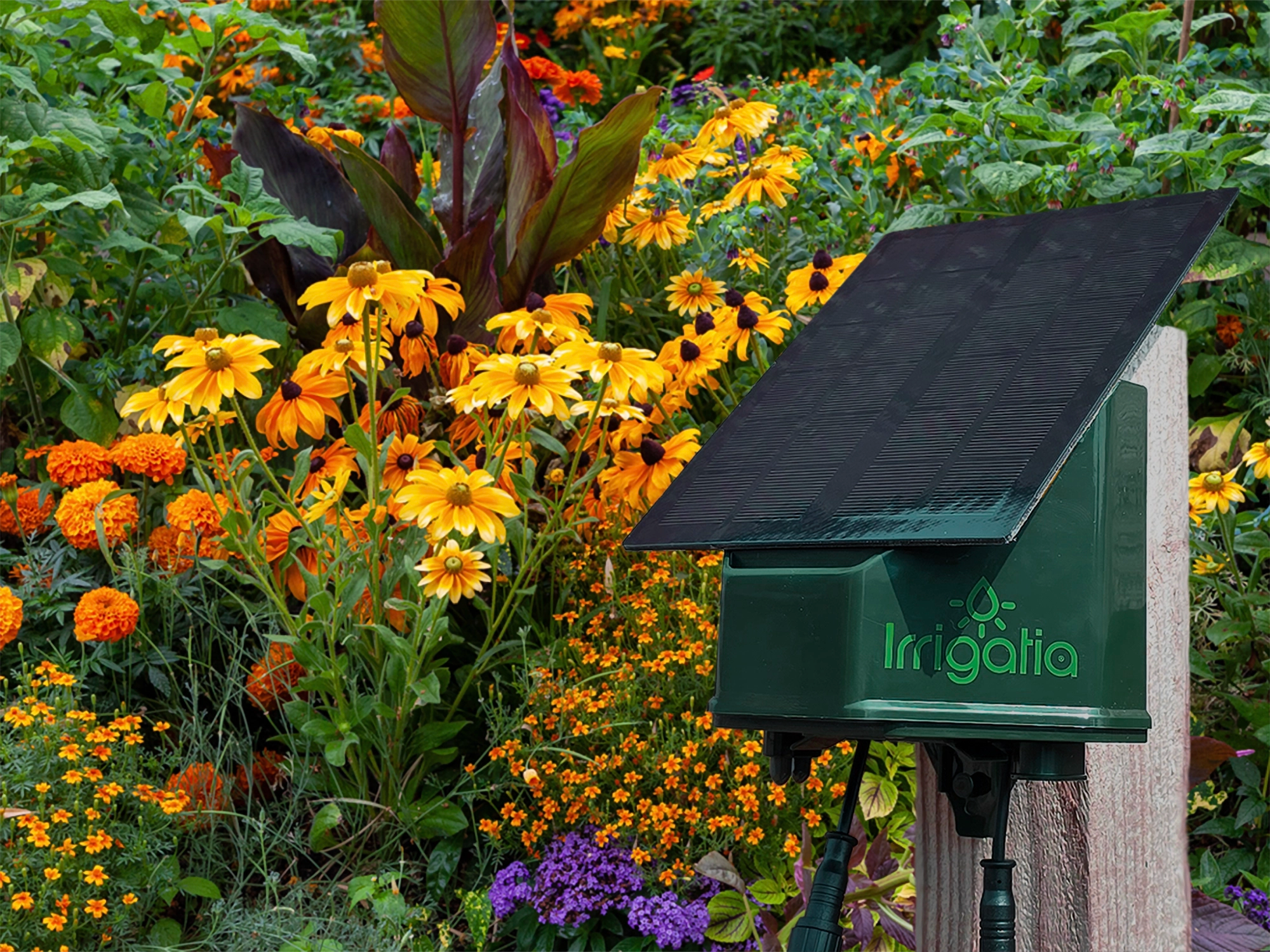 Solar-powered irrigation controller in a garden with flowers
