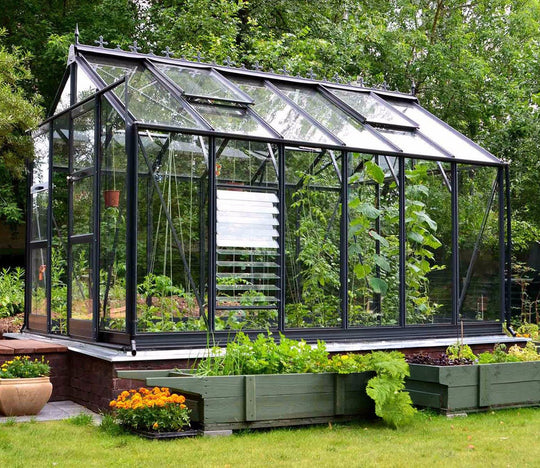 Eden 12