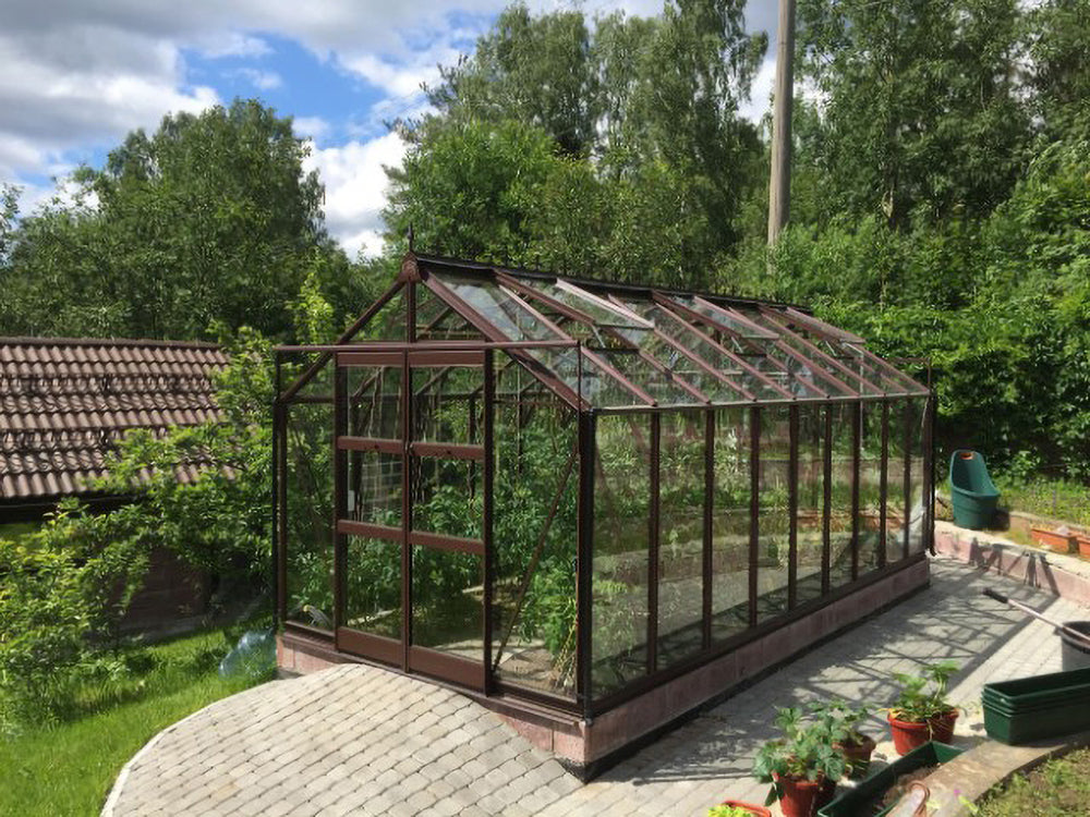 Eden 16