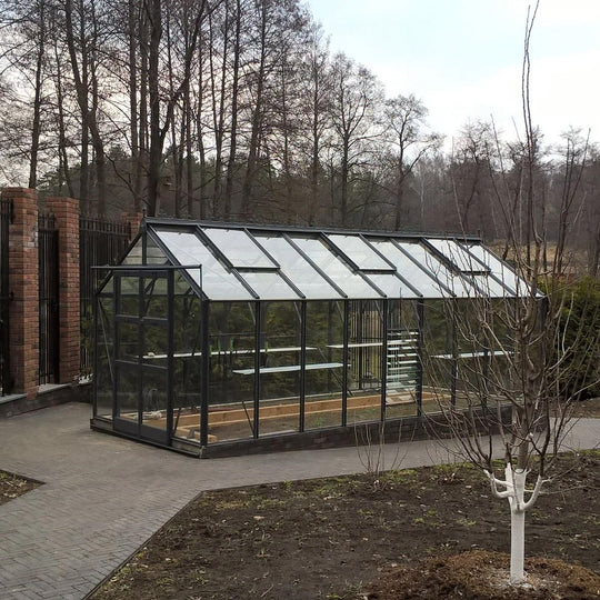 Eden 16