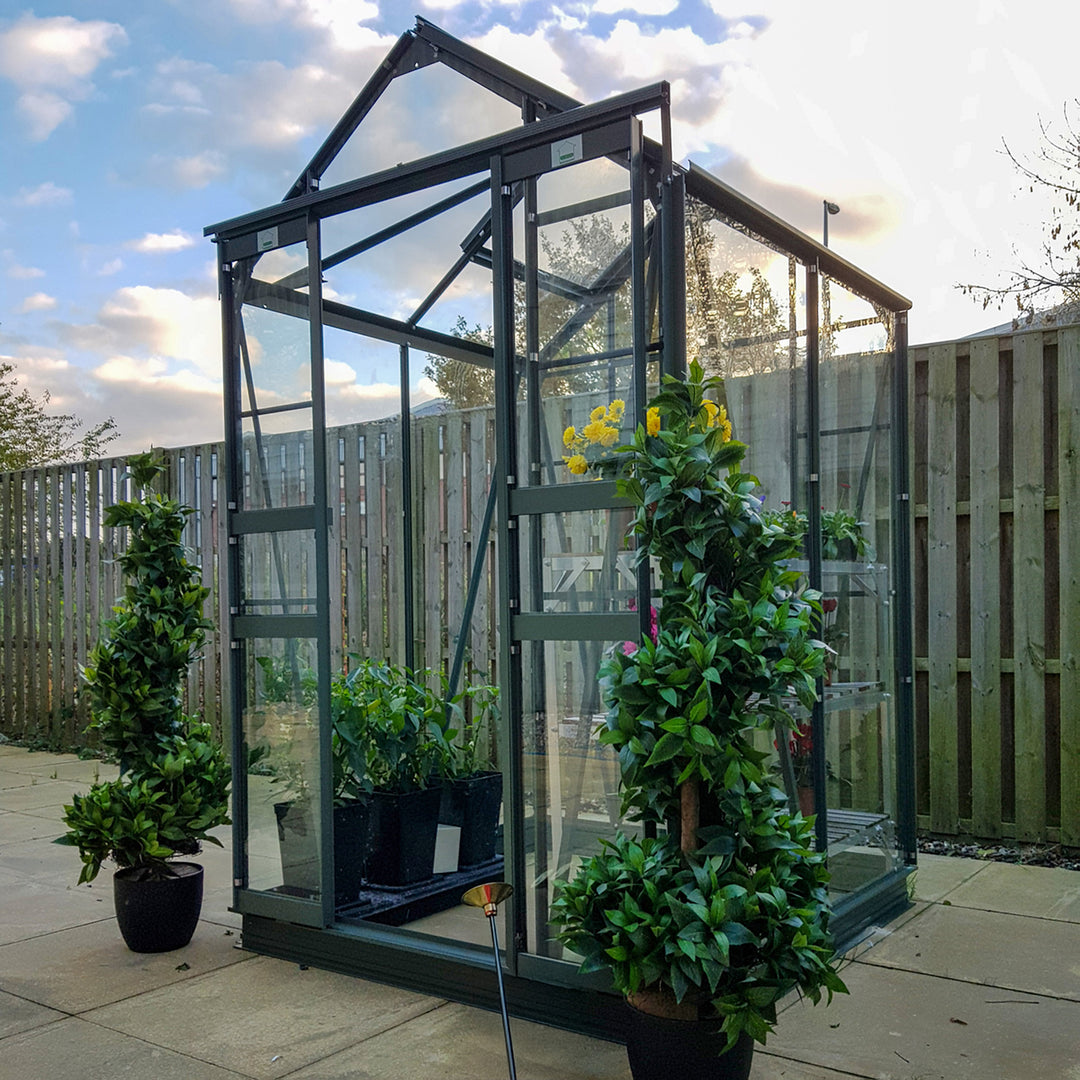 Cottage 4 greenhouse with clear toughened glass, custom colored frame, and flowering plants inside