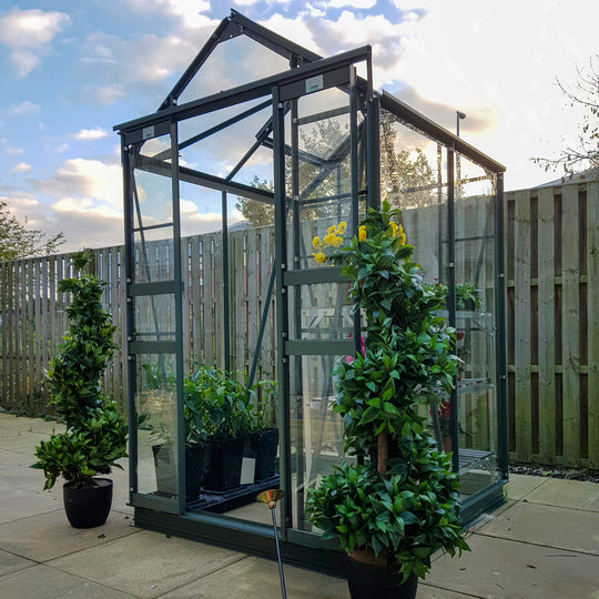 Cottage 4 greenhouse with clear toughened glass, custom colored frame, and flowering plants inside