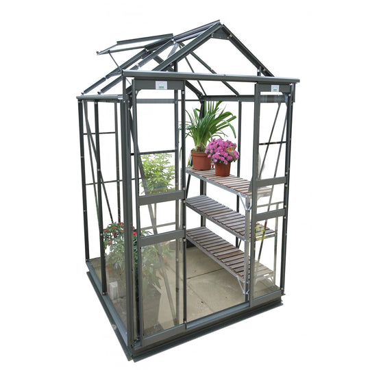 Studio shot of Cottage 4 greenhouse in graphite finish with double doors and slatted staging filled with plants