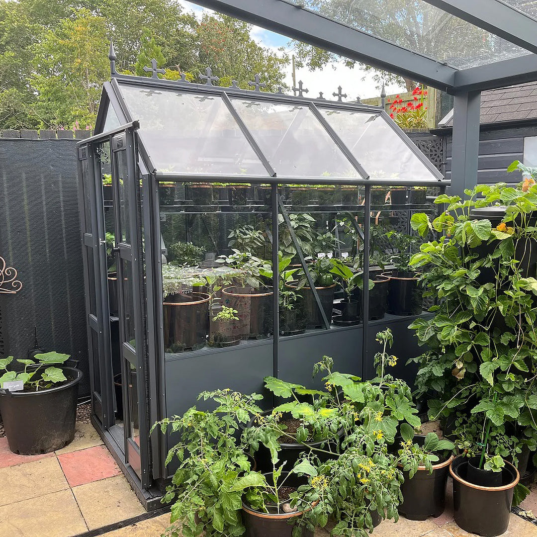 Graphite Cottage 6 greenhouse with roof crestings and lush container plants growing outside and inside