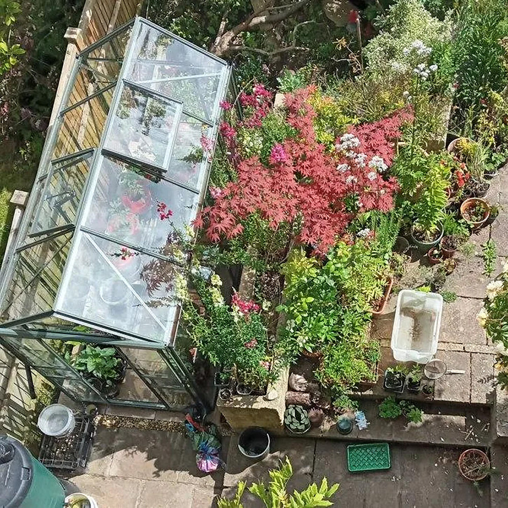 Overhead view of Cottage 8 greenhouse surrounded by a lush, colorful container garden