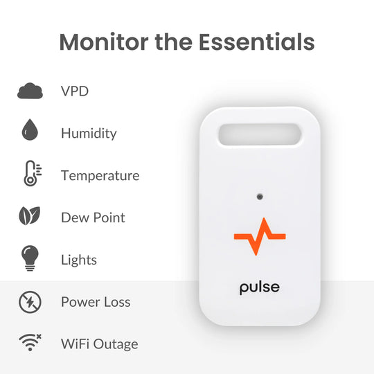 Pulse One